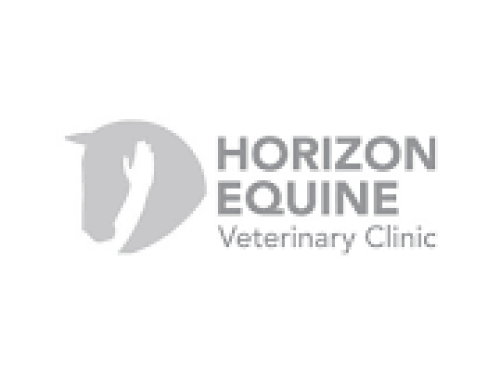 Horizon Equine